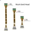 Ricoh GEN5 Printhead